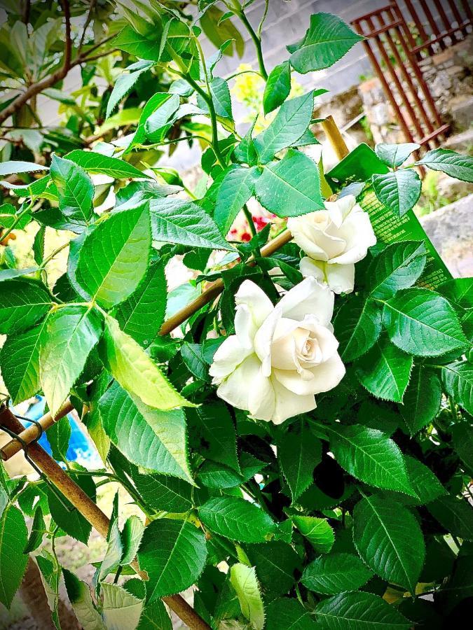 Villetta La Pietra Taormina Ngoại thất bức ảnh