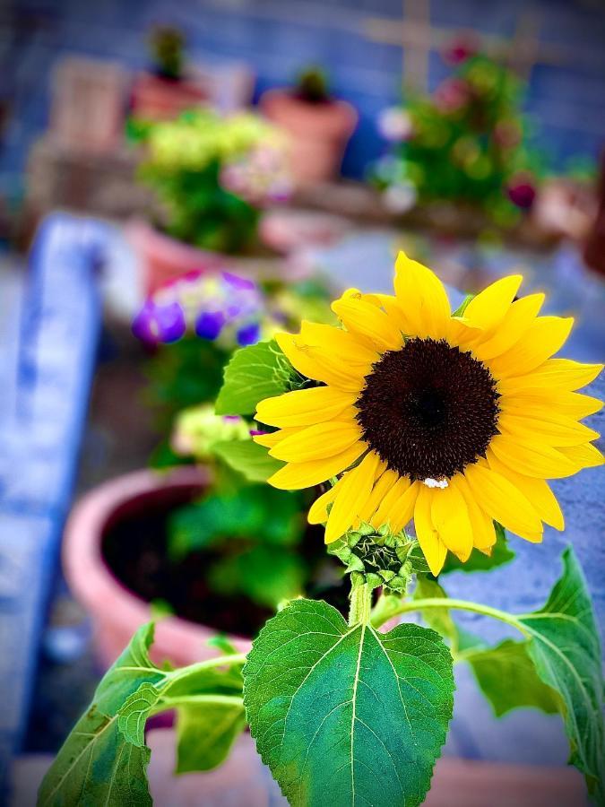 Villetta La Pietra Taormina Ngoại thất bức ảnh