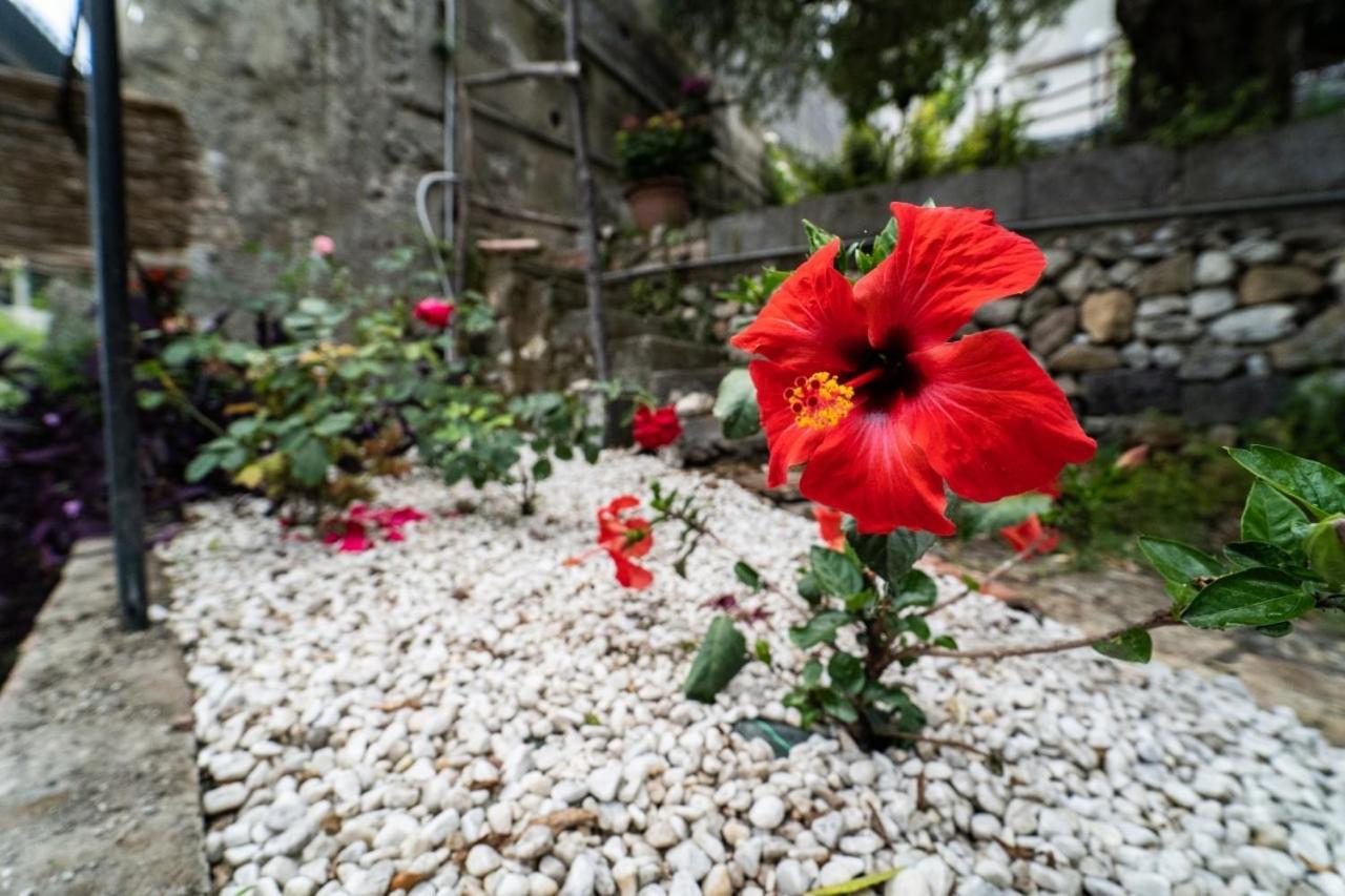 Villetta La Pietra Taormina Ngoại thất bức ảnh